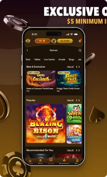Grizzly Casino APK — скриншот 4