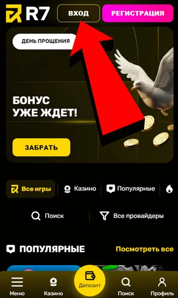 R7 Casino APK — скриншот 4