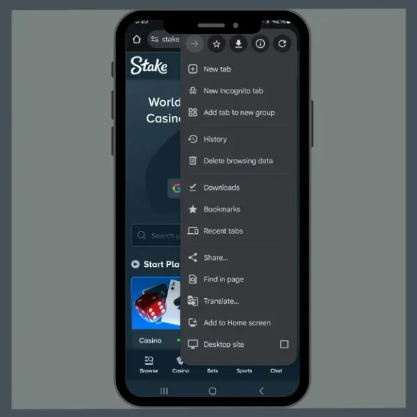 Stake Casino APK — скриншот 4