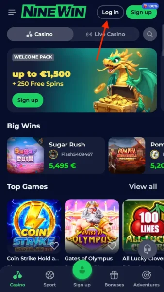 Wai Casino APK — скриншот 2